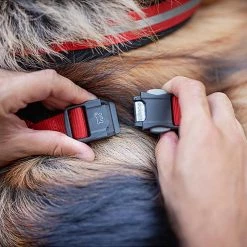 Ferplast DAYTONA P CROSS Alle Anzeigen