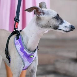 Ferplast Alle Anzeigen NIKITA P FASHION