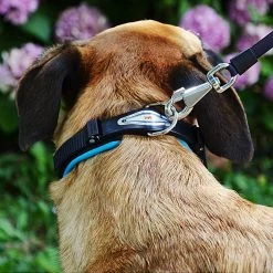 Ferplast Alle Anzeigen ERGOFLUO C