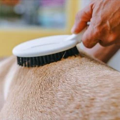 Ferplast Alle Anzeigen GRO 5760 Premium