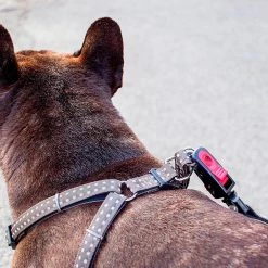 Ferplast CRICKET P Alle Anzeigen