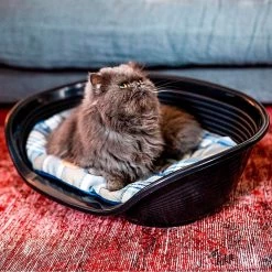 Ferplast Alle Anzeigen SCOTT