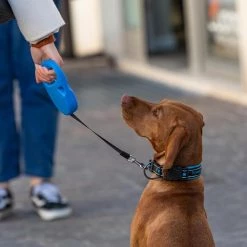 Ferplast FLIPPY ONE TAPE Alle Anzeigen