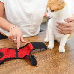 Ferplast JOGGING XL Alle Anzeigen