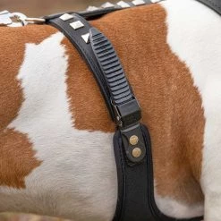 Ferplast Alle Anzeigen GIOTTO LUXOR BLACK P