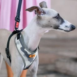 Ferplast Alle Anzeigen NIKITA P FASHION