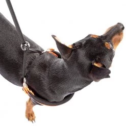 Ferplast AGILA REFLEX 1-4