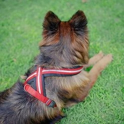 Ferplast DAYTONA P CROSS Alle Anzeigen