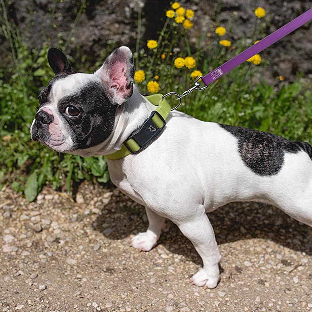 Ferplast EVOLUTION C Alle Anzeigen