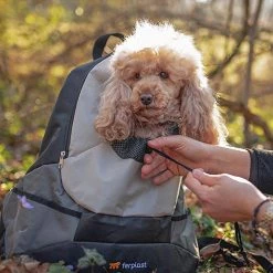 Ferplast KANGOO Alle Anzeigen