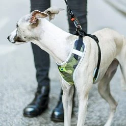 Ferplast Alle Anzeigen NIKITA P FASHION