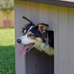 Ferplast Alle Anzeigen ARGO