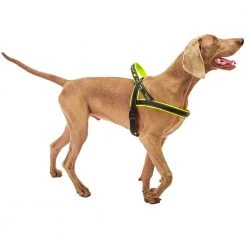 Ferplast Alle Anzeigen SPORT DOG P