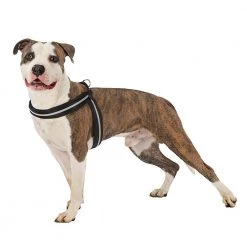 Ferplast AGILA REFLEX 5-9 Alle Anzeigen