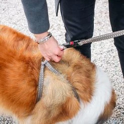 Ferplast CRICKET P Alle Anzeigen