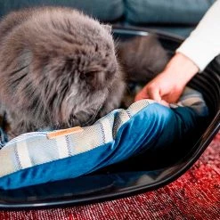 Ferplast Alle Anzeigen SCOTT