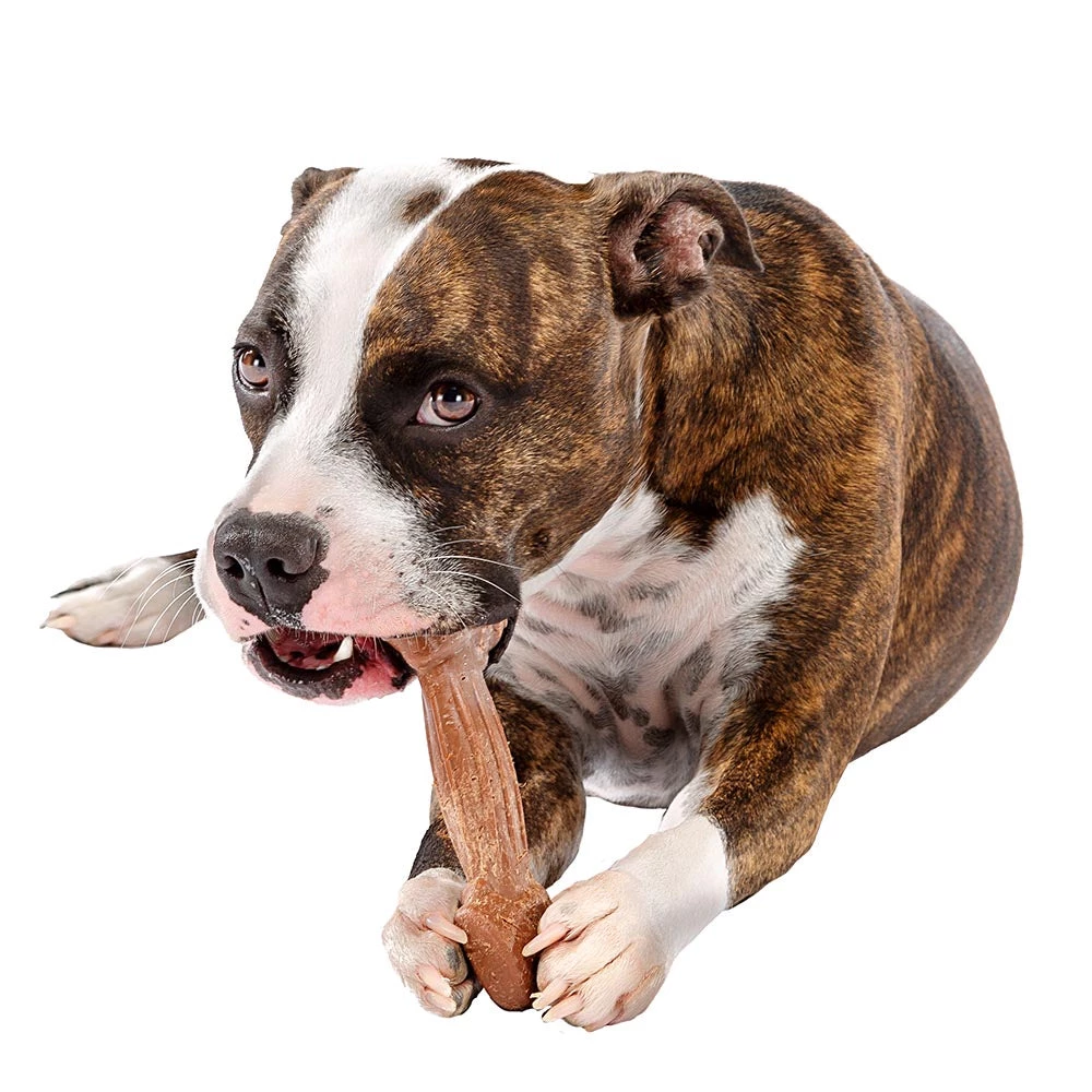 Ferplast GOODBITE NATURAL BEEF BONE