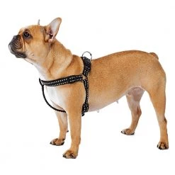 Ferplast CRICKET P Alle Anzeigen