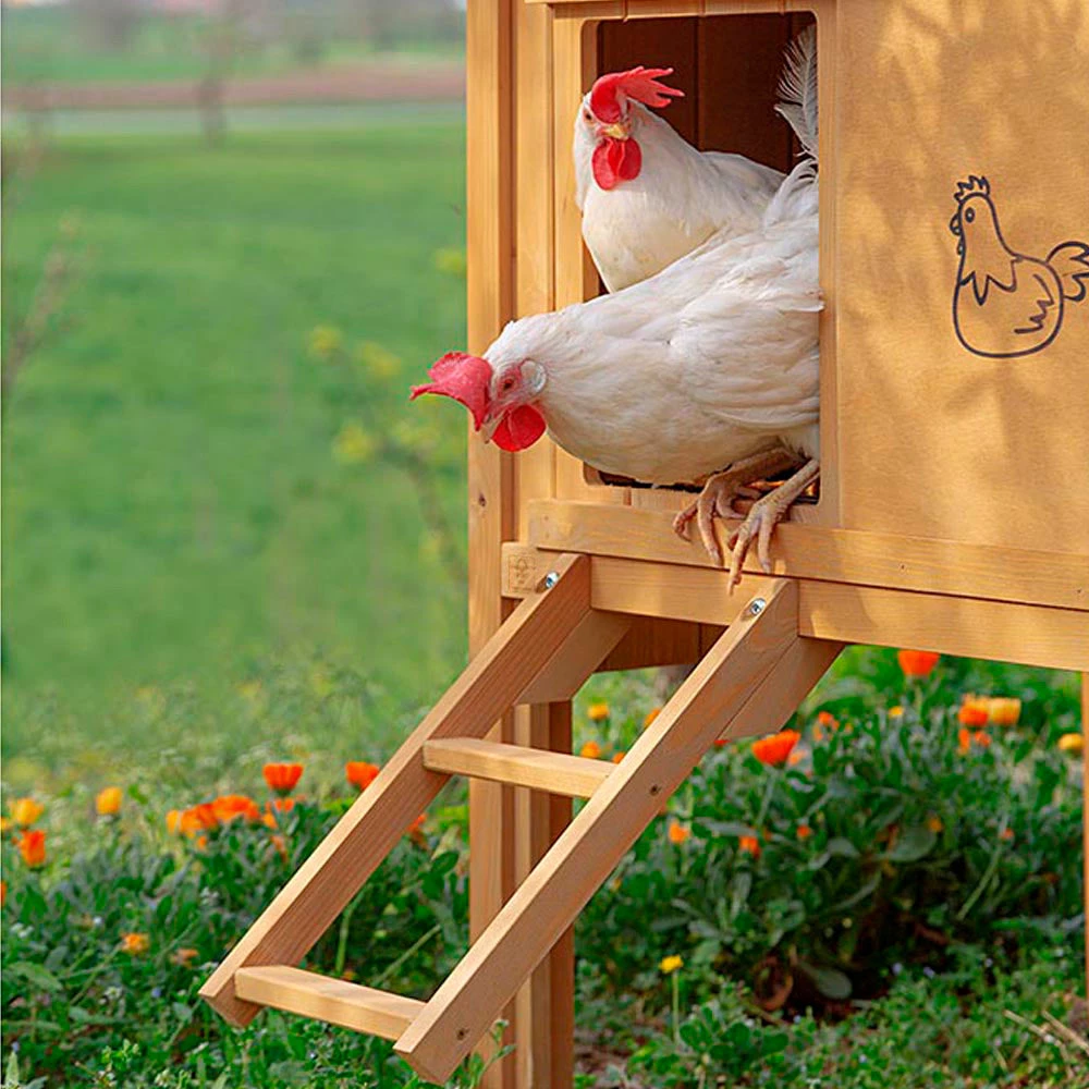 Ferplast HEN HOUSE 30