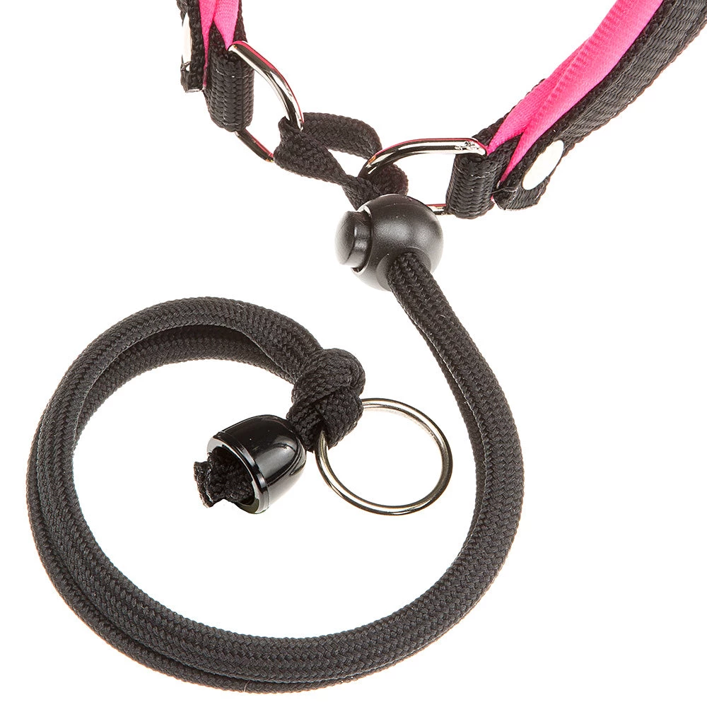 Ferplast AGILA FLUO 1-2