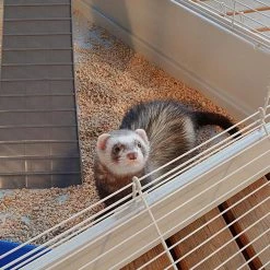 Ferplast FURET TOWER