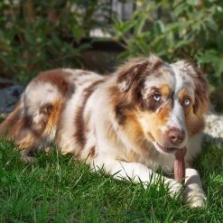 Ferplast GOODBITE NATURAL BEEF BONE